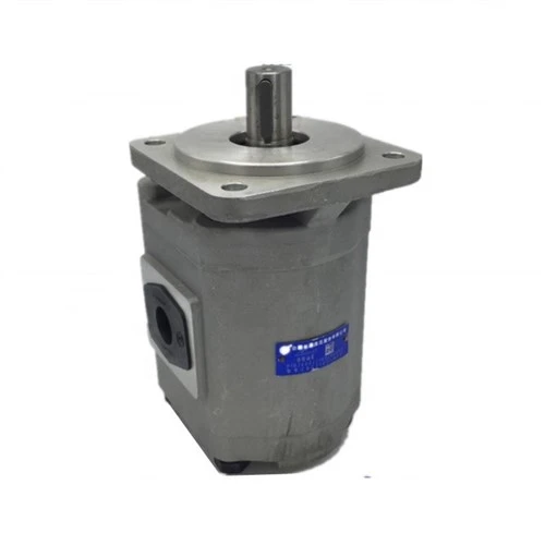 Китай HEFEI CHANYUAN Гидравлический F520 F525 CBG 2040 2032 2050 2063 2080 2100 - BFP BFPL BFH BFX Шестеренчатый насос МАСЛЯНЫЙ НАСОС